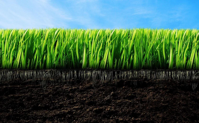 Всегда на связи